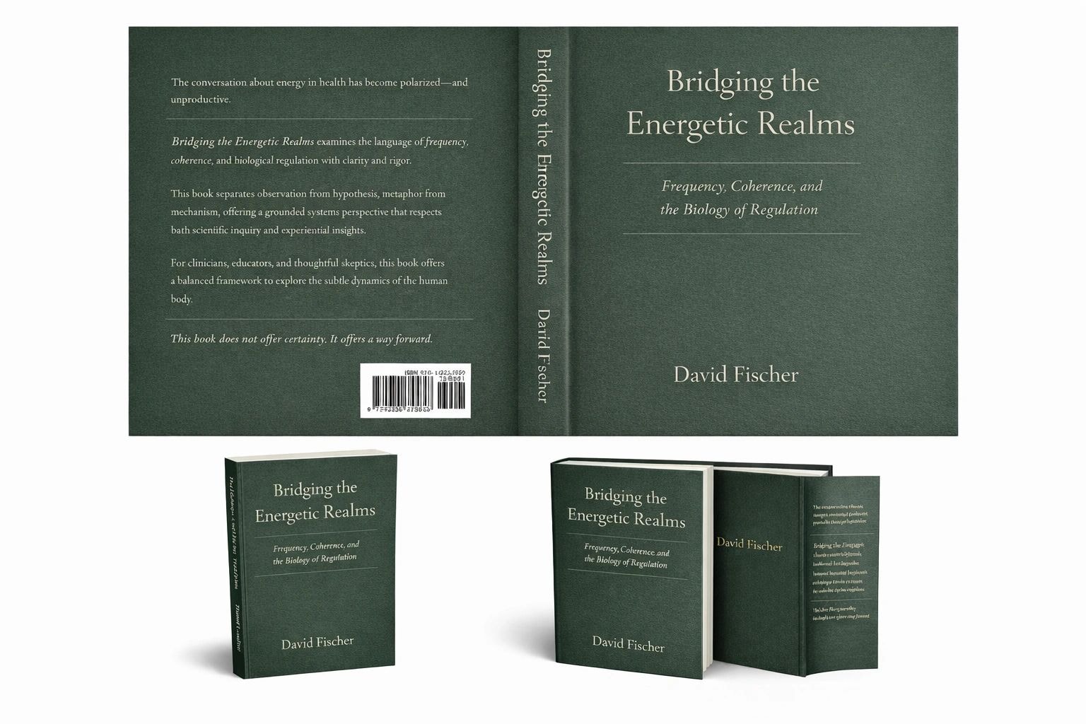 Bridging the Energetic Realms book cover
